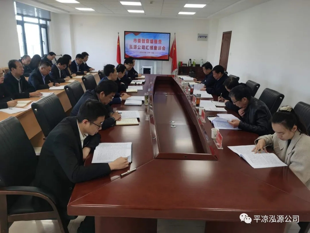 市委辦公室、市政府國資委督查泓源公司工作(圖4)